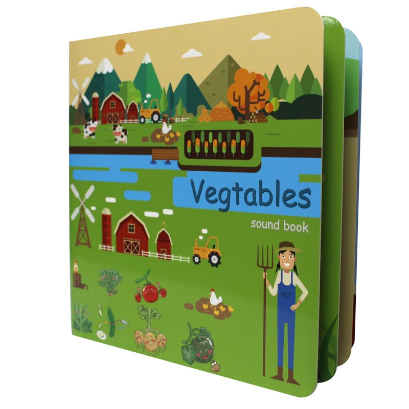 Kids Education Story - Custom Board Books for Babies English