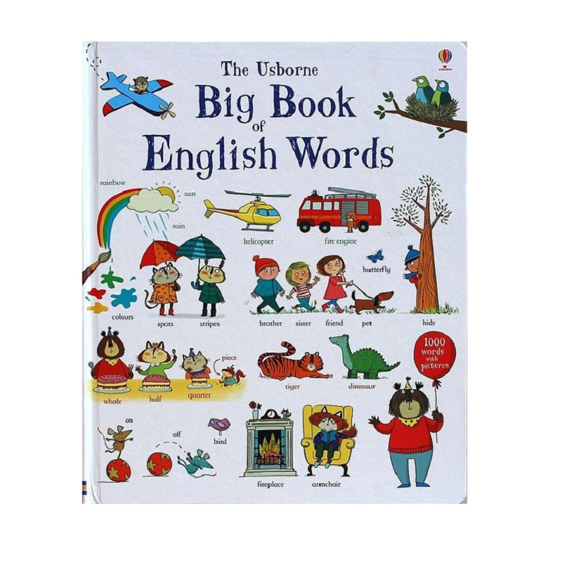 The Big Book Of English Words  - Kids Education Words 评论和价格