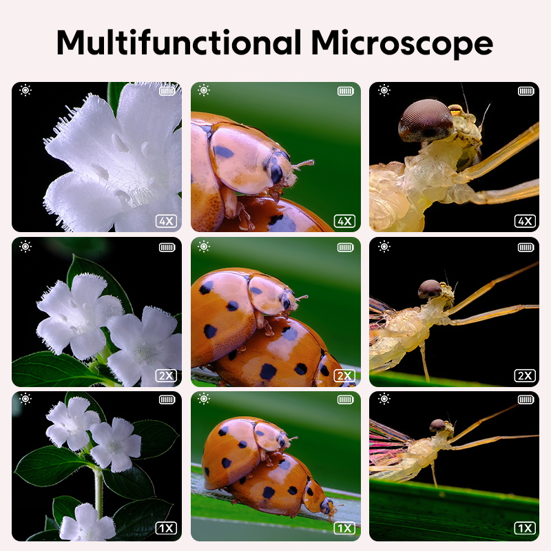 Mini Kids Optical Microscope W - Kids Education World 评论和价格